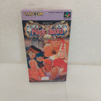 Super Famicom Magic Sword Japanese