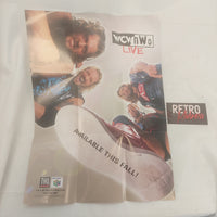 Vintage Nintendo 64 Quest 64 and WCW NWO Live Double-Sided Poster Insert