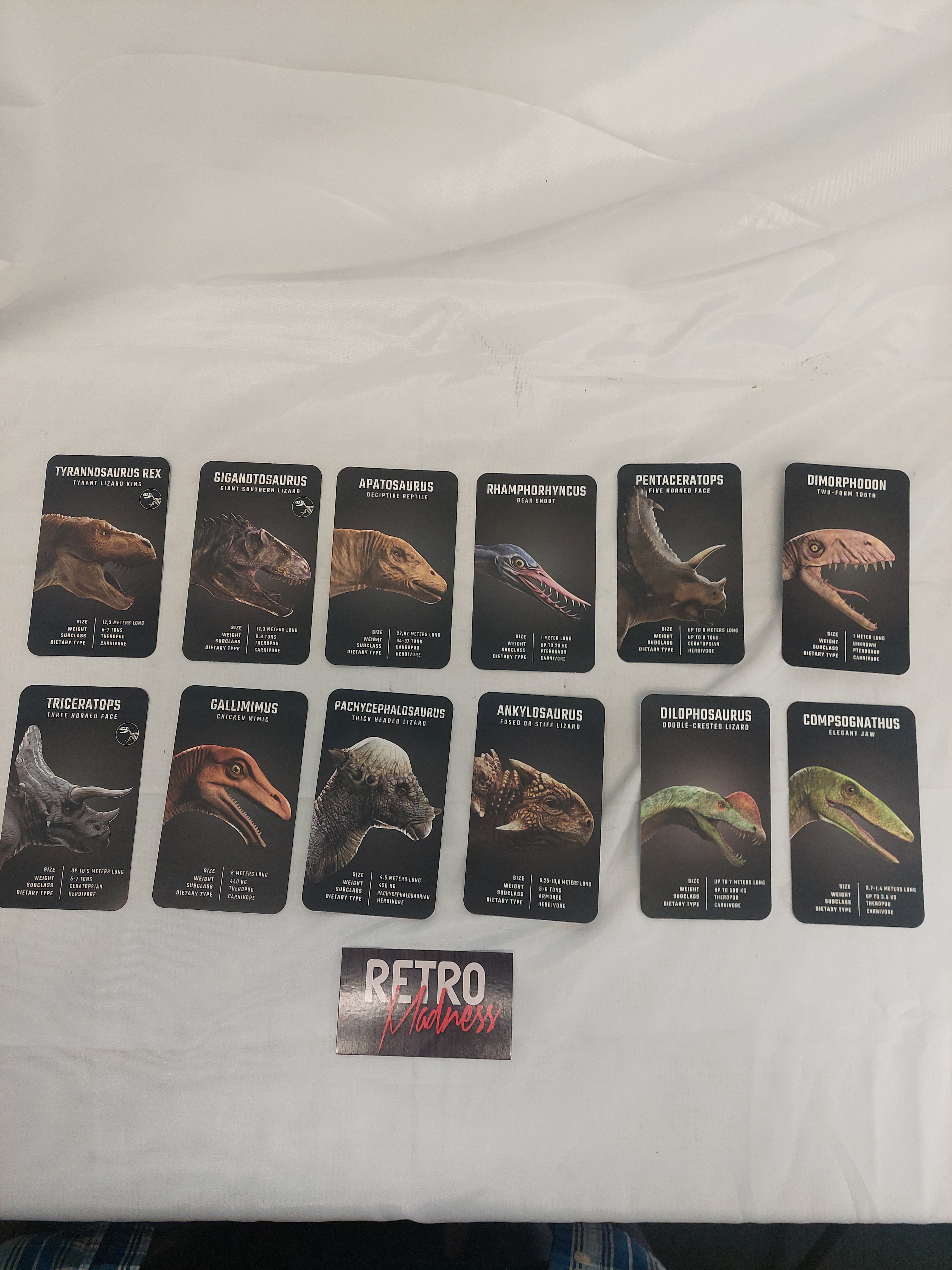 STEM-Based Education Series 4D+ Dinosaur Experience Virtual Reality Headset Tested