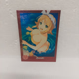 Senran Kagura Estival Versus Sanabi Card